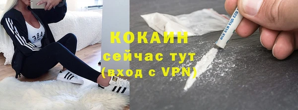 эйфоретик Арсеньев