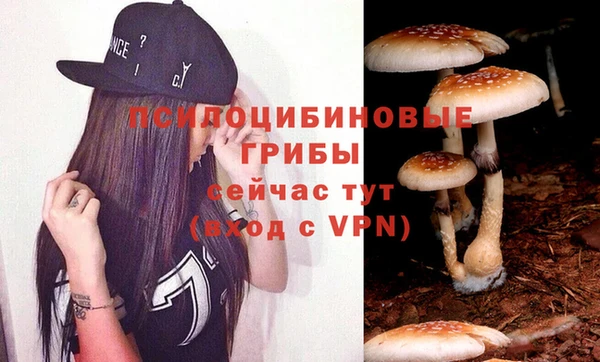 мдма Ладушкин
