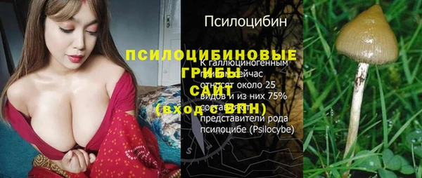 МДПВ Аркадак
