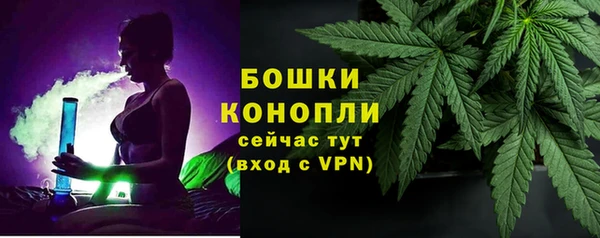 эйфоретик Арсеньев