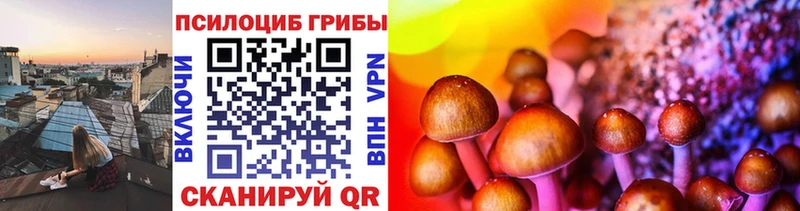 мега рабочий сайт  Власиха  Галлюциногенные грибы Cubensis  цены  